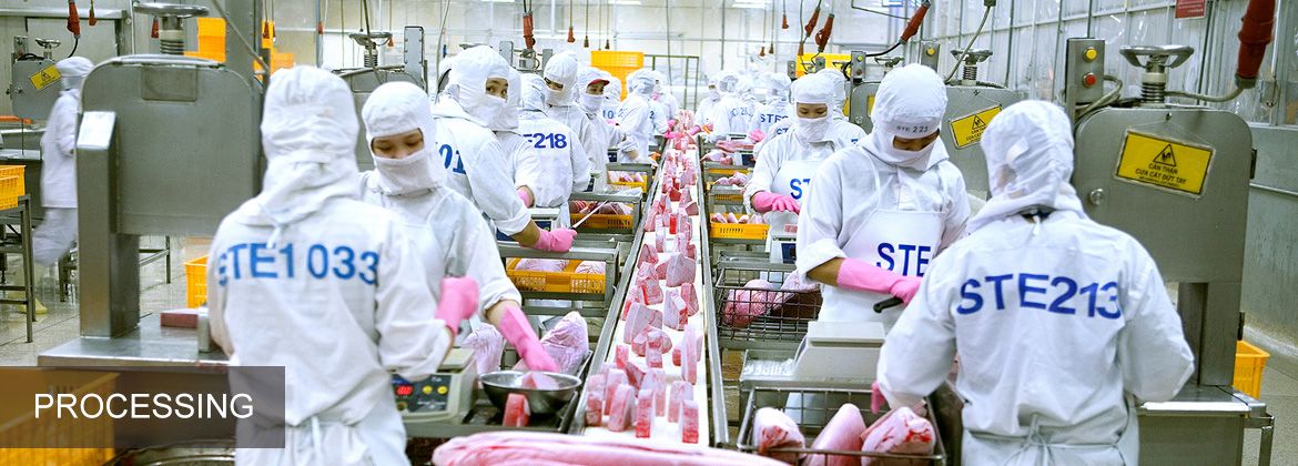 World-Class Tuna Processing